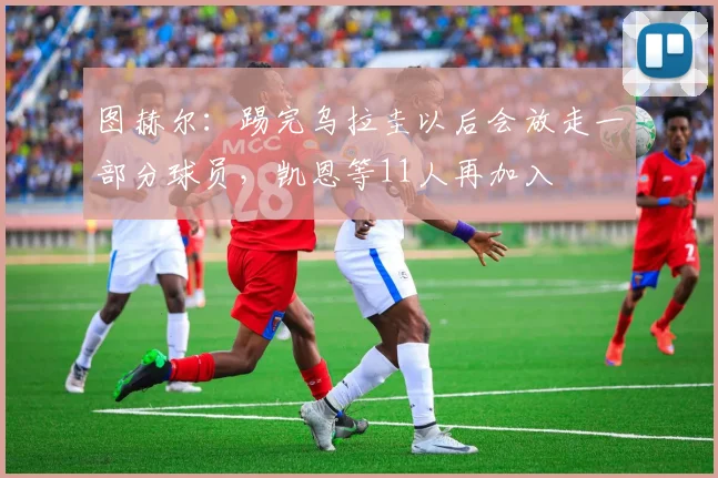 图赫尔：踢完乌拉圭以后会放走一部分球员，凯恩等11人再加入