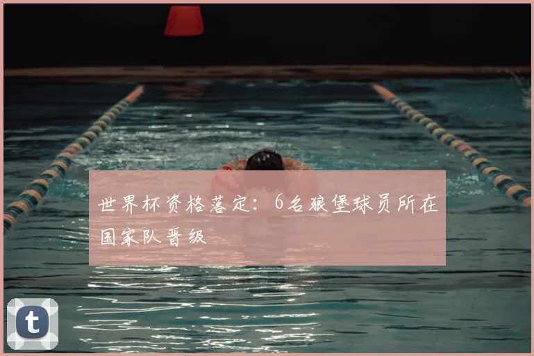 世界杯资格落定：6名狼堡球员所在国家队晋级
